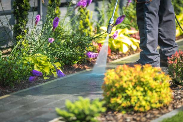 Best Animal Enclosure Cleaning  in Katonah, NY